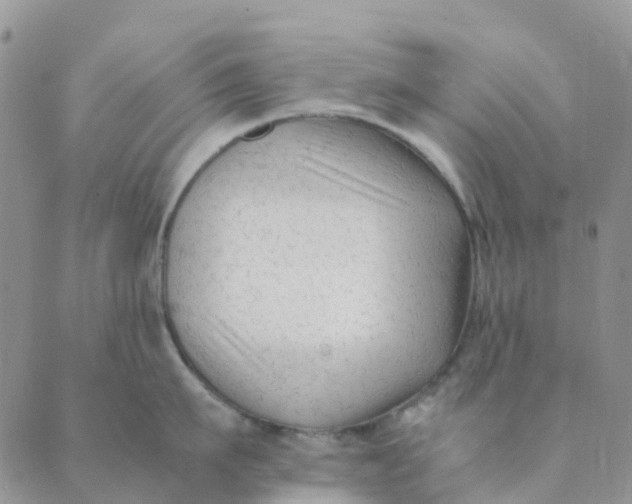 X0000089360911200707061046