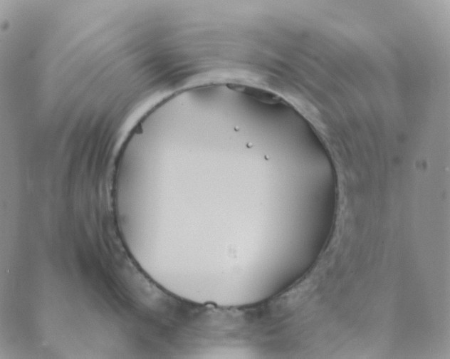 X0000089360912200707061046