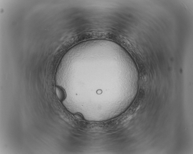 X0000089360913200707061045