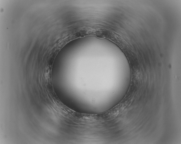 X0000089360914200707061045