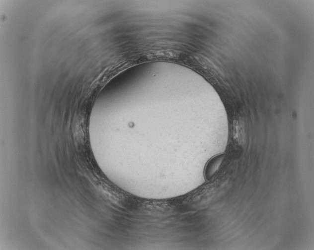 X0000089360915200707061045