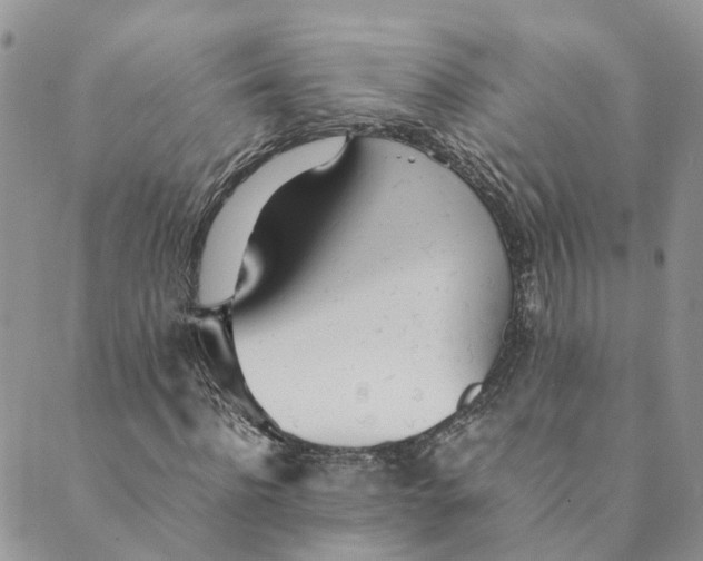 X0000089360916200707061045