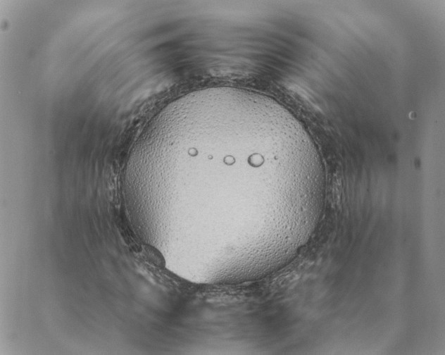 X0000089360917200707061045