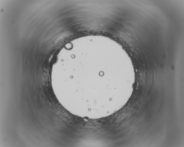 X0000089360918200707061045