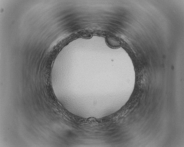 X0000089360919200707061045