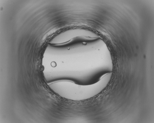 X0000089360920200707061045