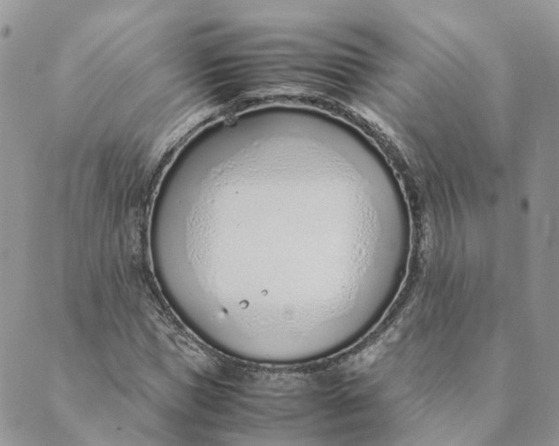 X0000089360921200707061045