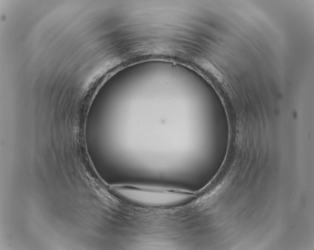 X0000089360922200707061045