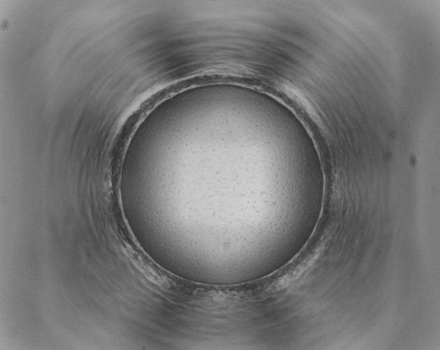 X0000089360923200707061045