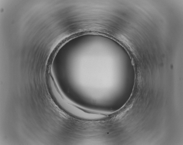 X0000089360924200707061045