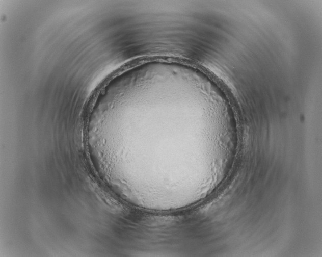 X0000089360925200707061045