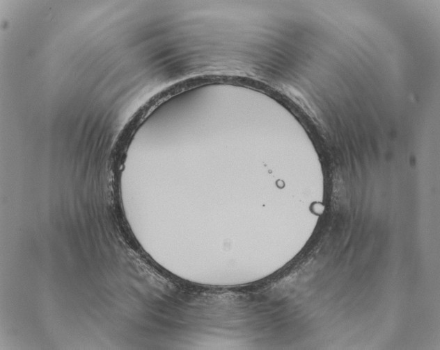 X0000089360926200707061045