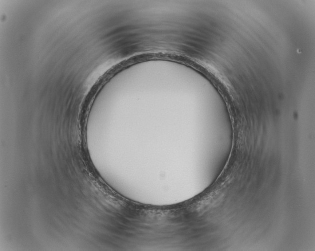 X0000089360927200707061046