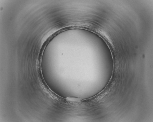 X0000089360928200707061046