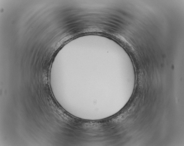 X0000089360929200707061046