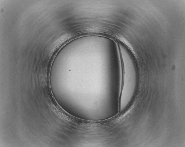 X0000089360930200707061046