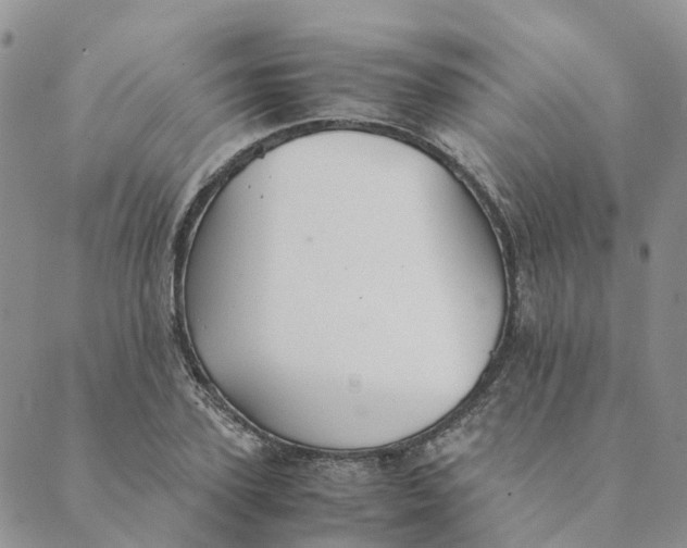 X0000089360931200707061046