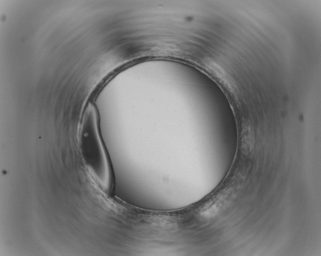 X0000089360932200707061046