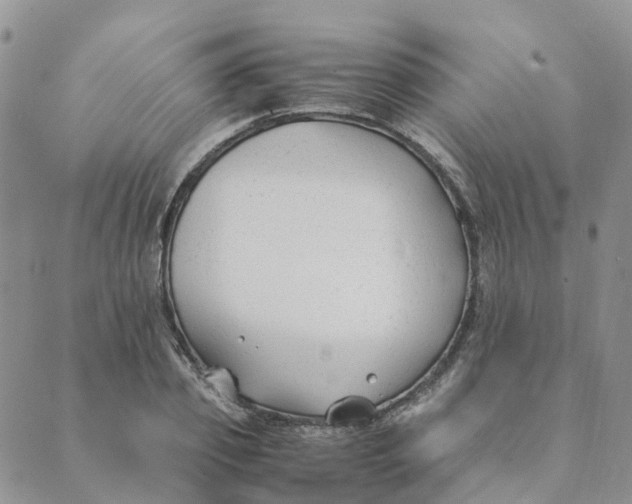 X0000089360933200707061046