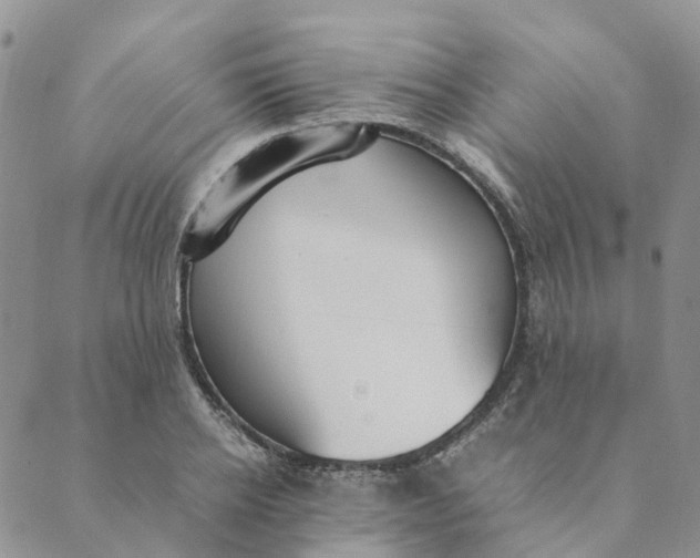 X0000089360934200707061046