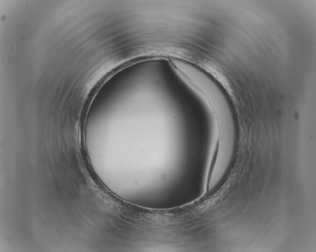 X0000089360936200707061046