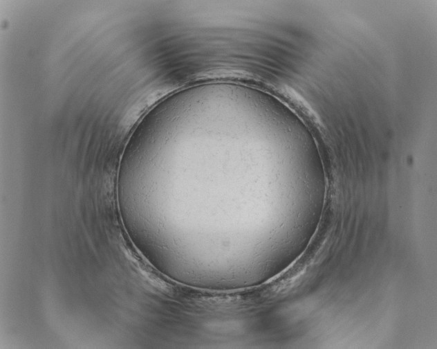 X0000089360937200707061046