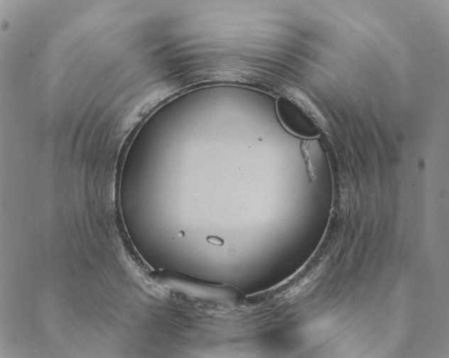 X0000089360938200707061046