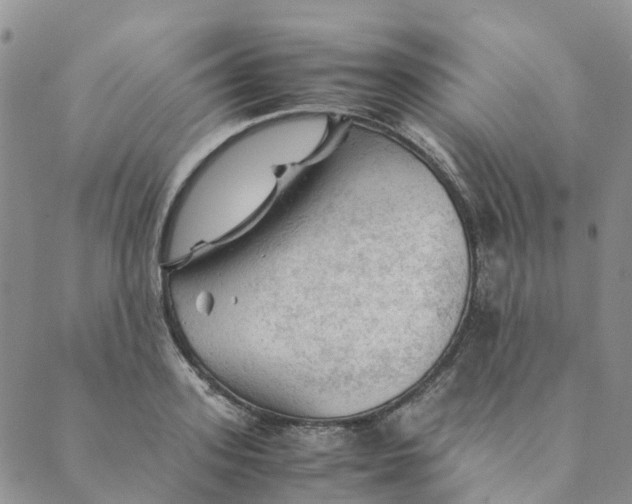 X0000089360939200707061046