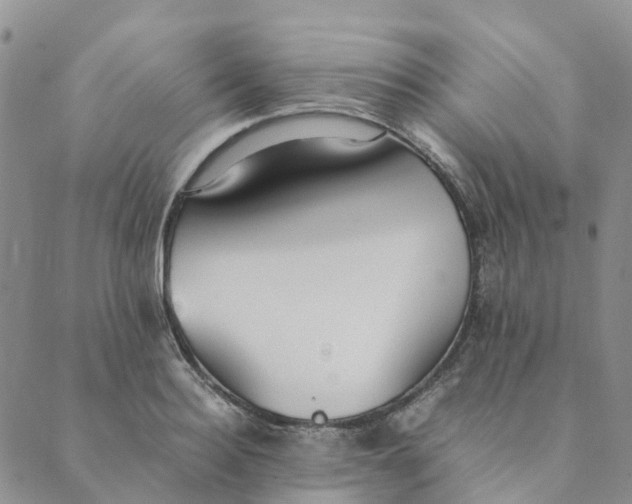 X0000089360940200707061046