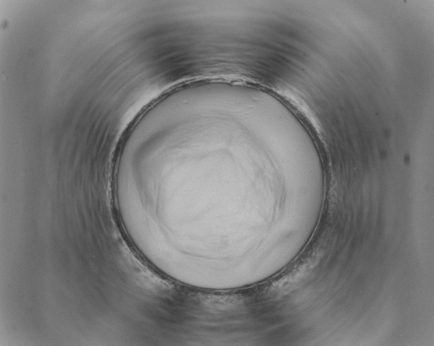 X0000089360941200707061046