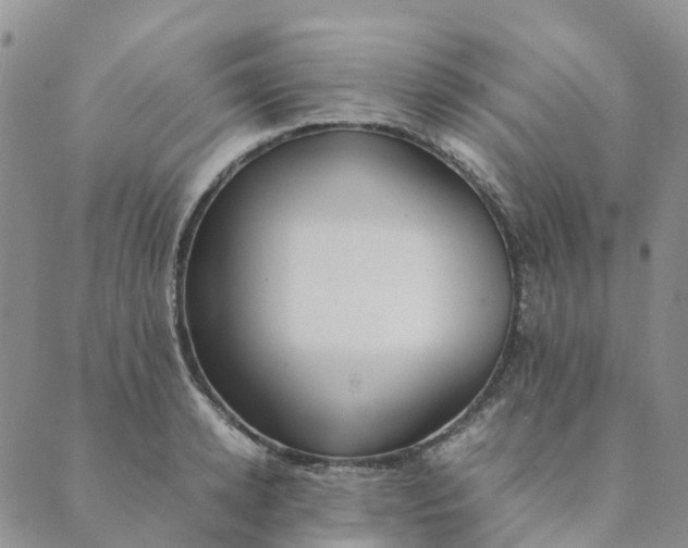 X0000089360942200707061046