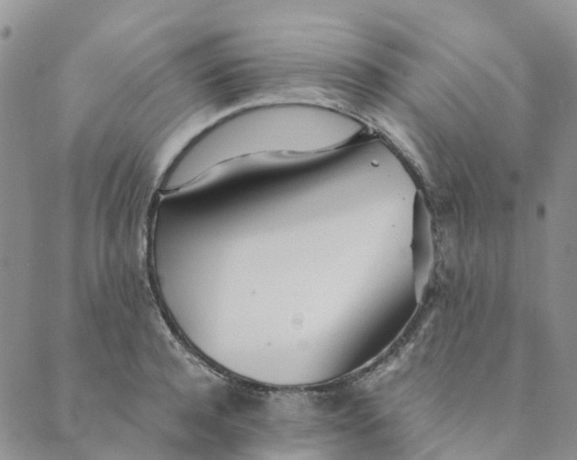 X0000089360944200707061046