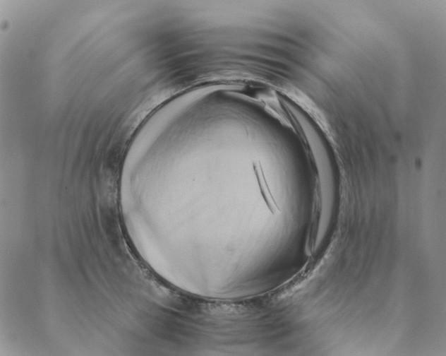 X0000089360945200707061046