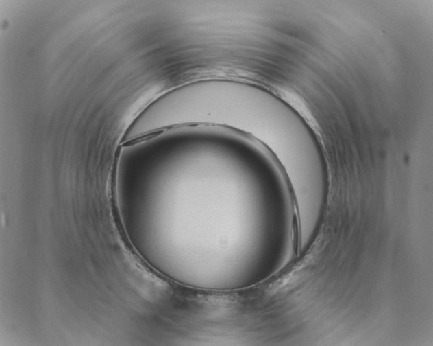 X0000089360946200707061046