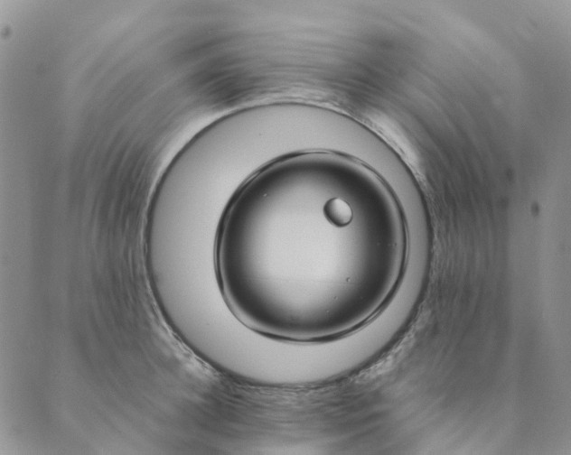 X0000089360948200707061046