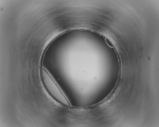 X0000089360949200707061046