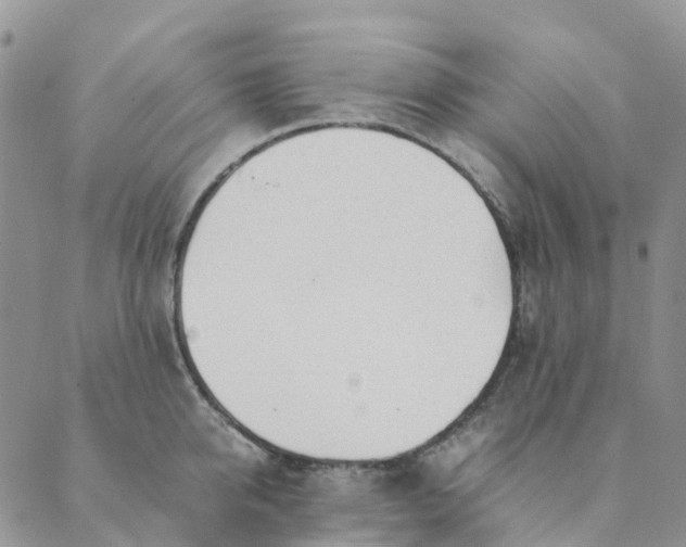 X0000089360950200707061046