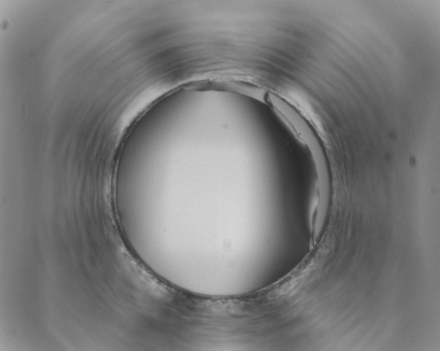 X0000089360952200707061046