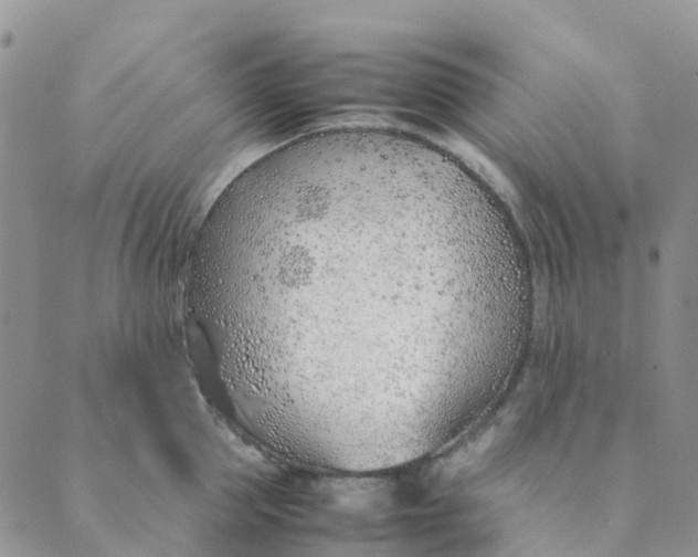 X0000089360953200707061046