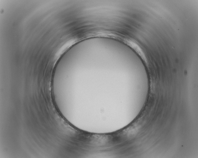 X0000089360954200707061046