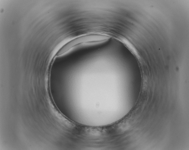 X0000089360955200707061046