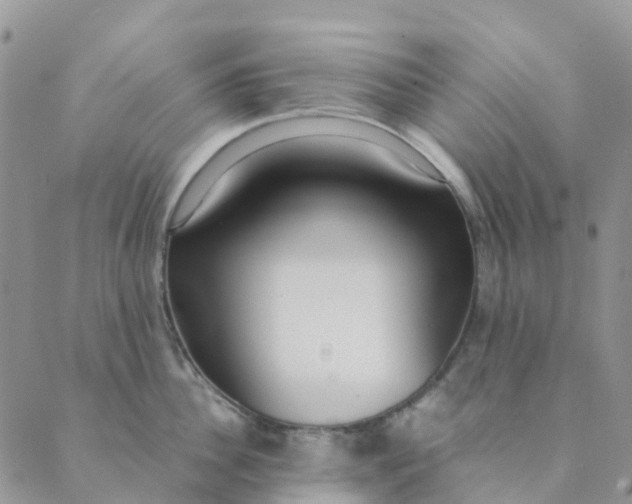 X0000089360956200707061046