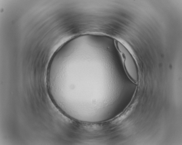 X0000089360957200707061046