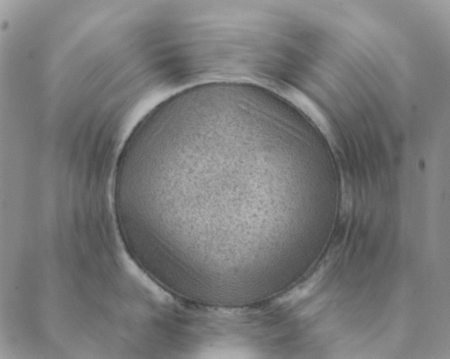 X0000089360958200707061046