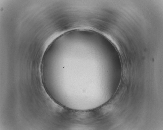 X0000089360959200707061046