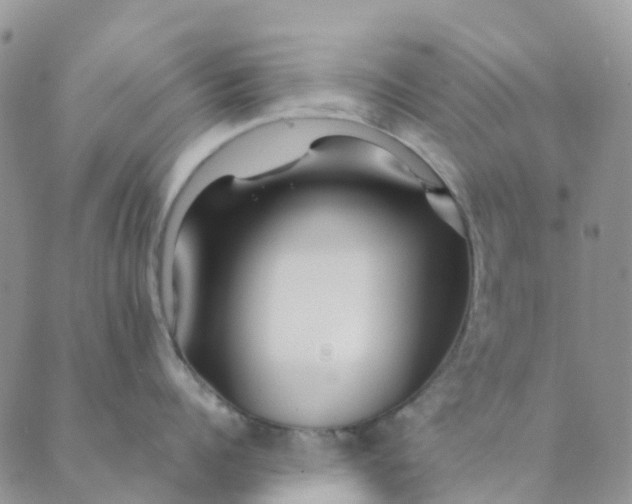 X0000089360960200707061046