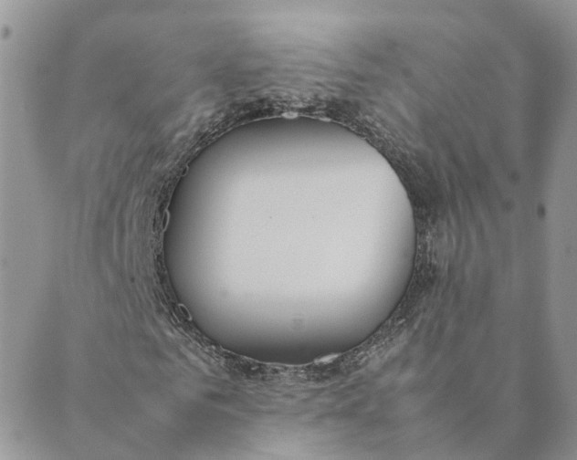 X0000089360961200707061045