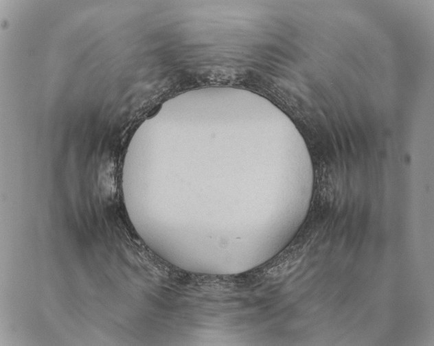 X0000089360962200707061045