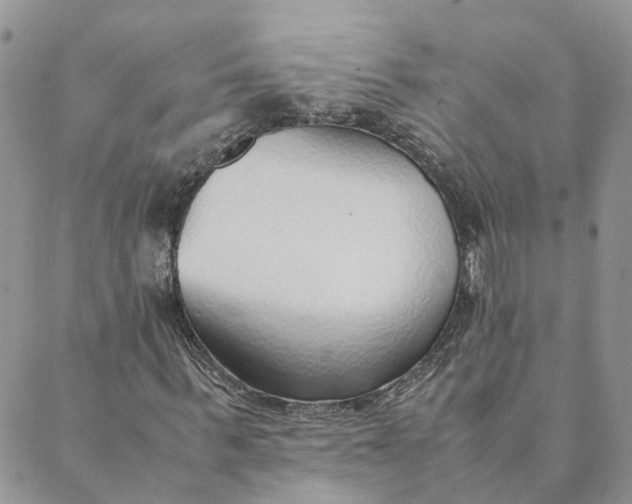 X0000089360963200707061045