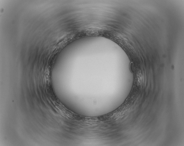 X0000089360964200707061045